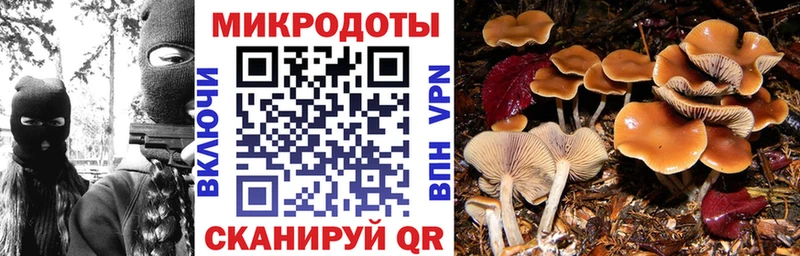 Купить  Сельцо  Псилоцибиновые грибы прущие грибы 